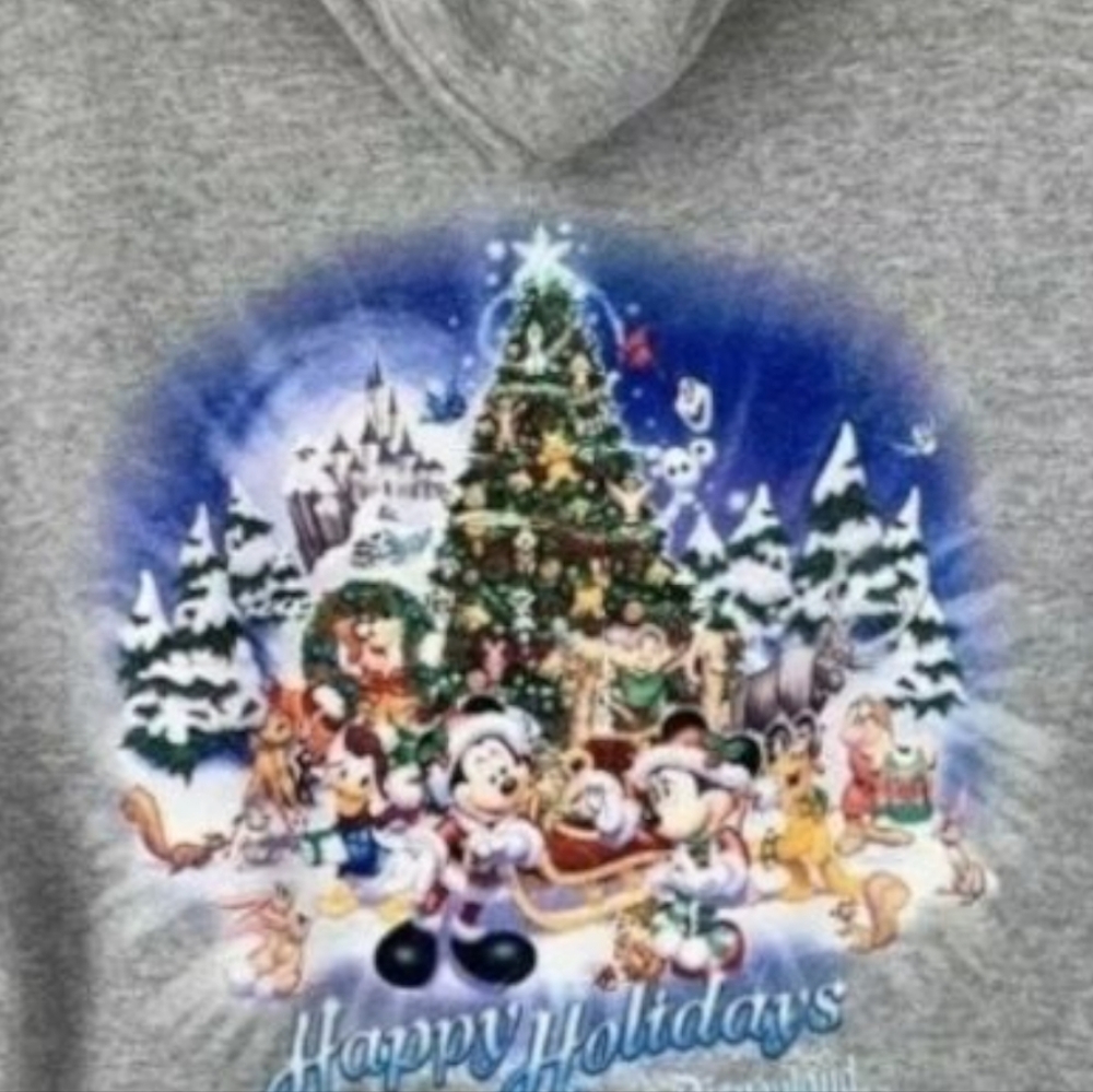 Disney World 2016‎ Holiday Gray Zip-up Hooded Jacket, Unisex Adult - Picture 13 of 14